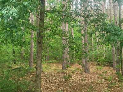 Residential Land For Sale in Waupaca, Wisconsin