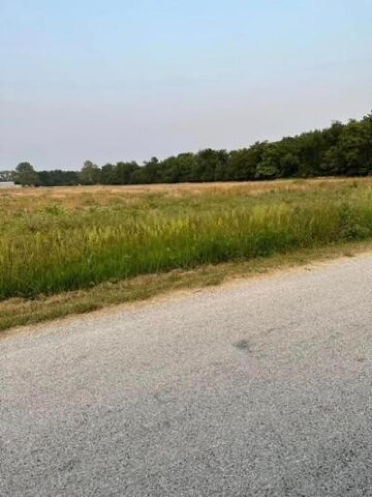Picture of Residential Land For Sale in Oakwood, Illinois, United States
