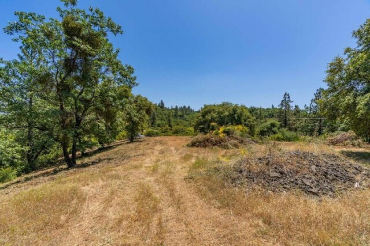 Picture of Residential Land For Sale in Sutter Creek, California, United States
