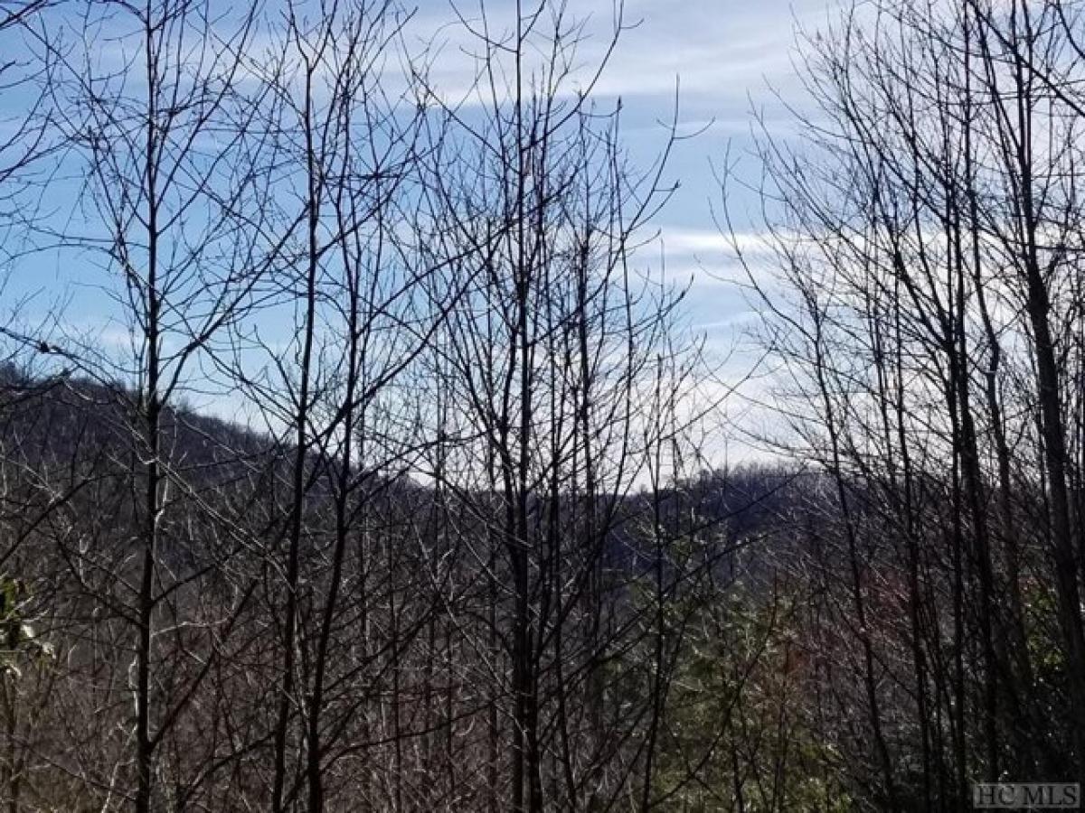 Picture of Residential Land For Sale in Scaly Mountain, North Carolina, United States