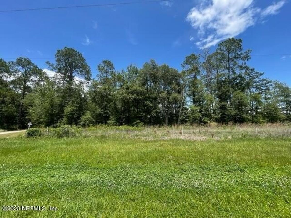 Picture of Residential Land For Sale in Brooker, Florida, United States