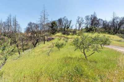 Residential Land For Sale in Healdsburg, California