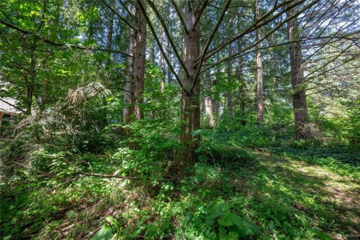Picture of Residential Land For Sale in Maple Falls, Washington, United States
