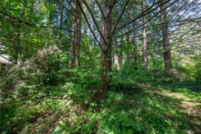 Residential Land For Sale in Maple Falls, Washington
