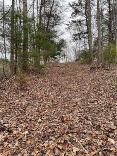 Residential Land For Sale in Boones Mill, Virginia