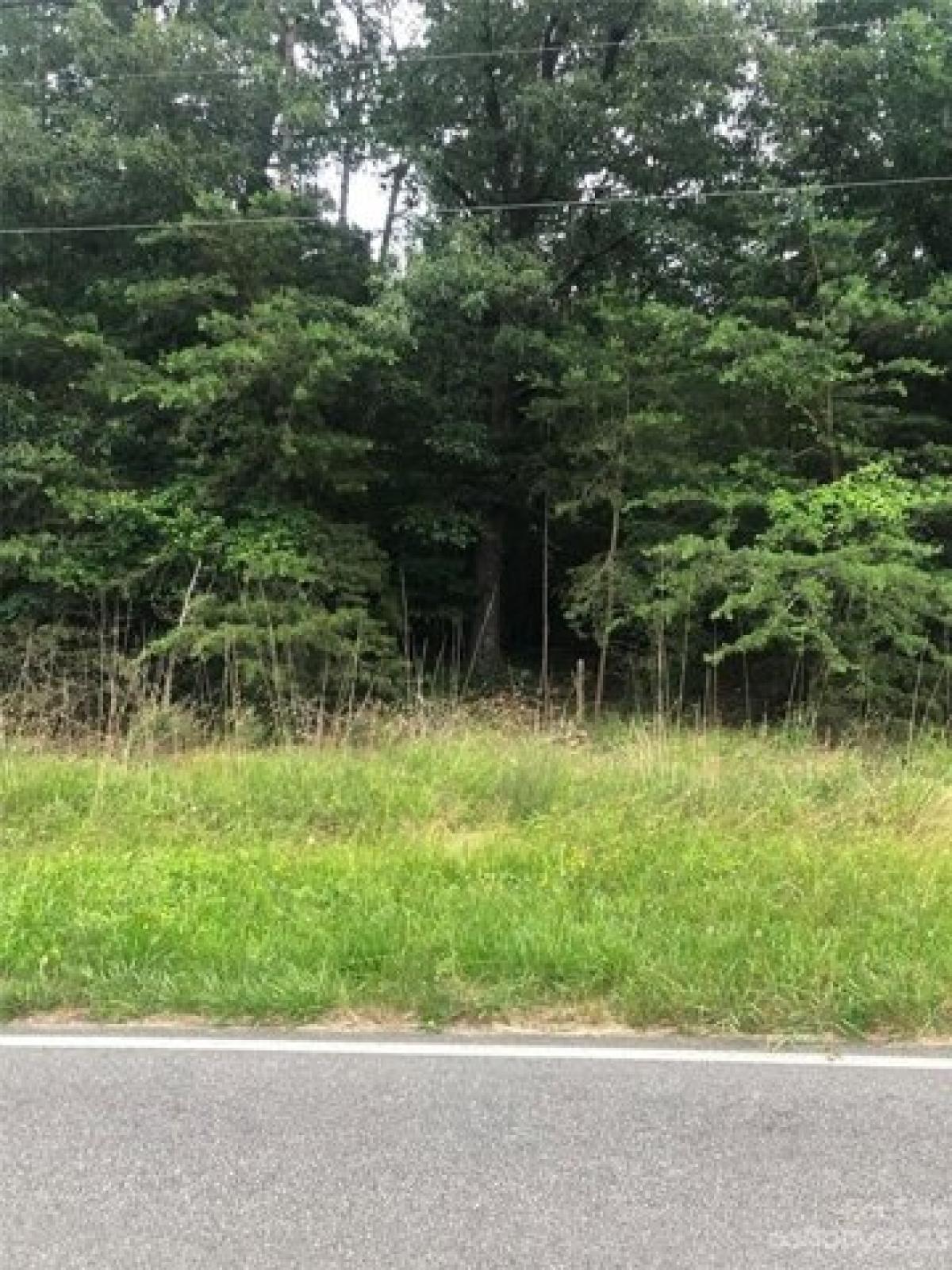 Picture of Residential Land For Sale in Peachland, North Carolina, United States
