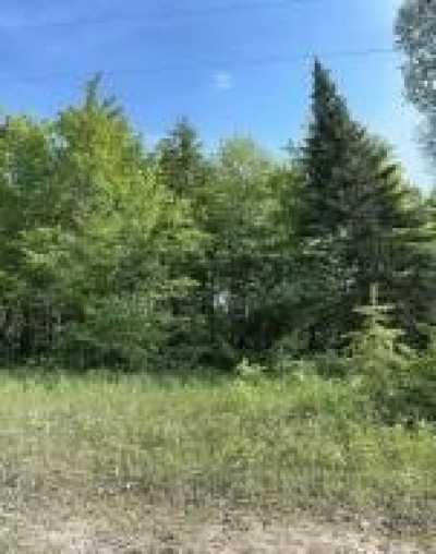 Residential Land For Sale in Trout Lake, Michigan