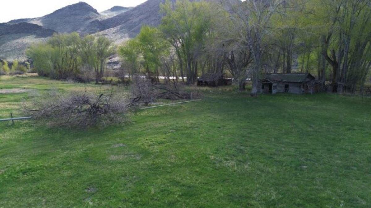 Picture of Home For Sale in Challis, Idaho, United States