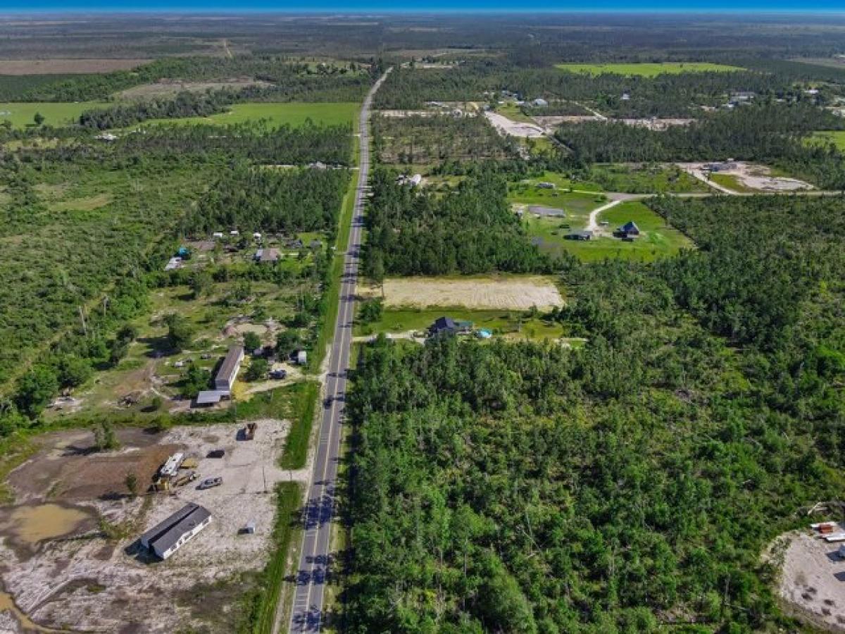 Picture of Residential Land For Sale in Wewahitchka, Florida, United States