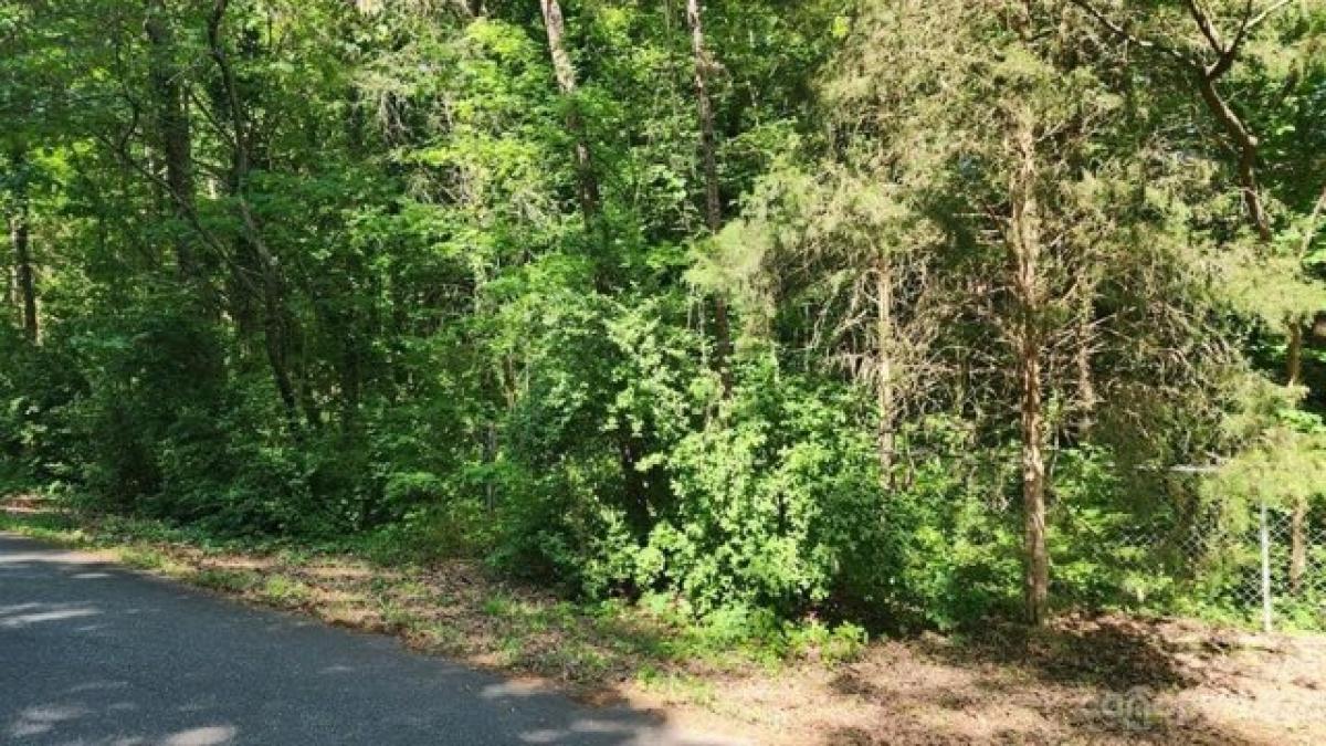 Picture of Residential Land For Sale in Fort Mill, South Carolina, United States