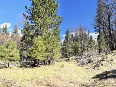 Residential Land For Sale in Janesville, California