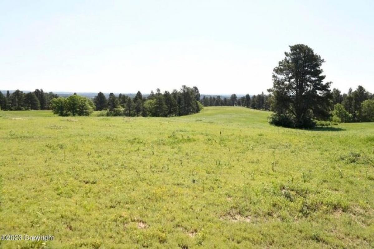 Picture of Residential Land For Sale in Sundance, Wyoming, United States