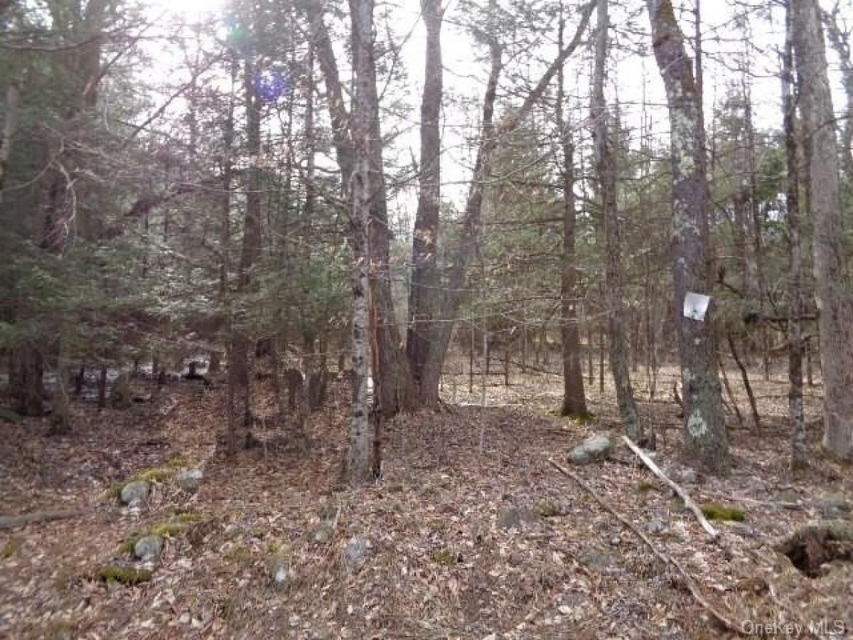 Picture of Residential Land For Sale in Bethel, New York, United States