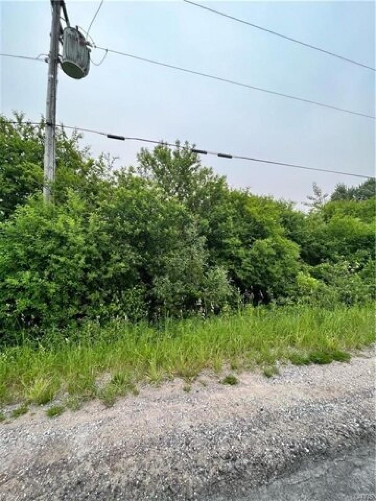 Picture of Residential Land For Sale in Copenhagen, New York, United States