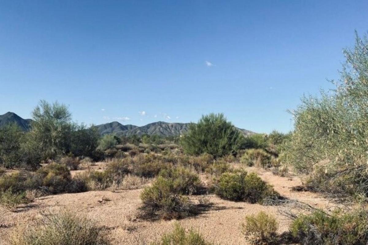 Picture of Residential Land For Sale in Scottsdale, Arizona, United States