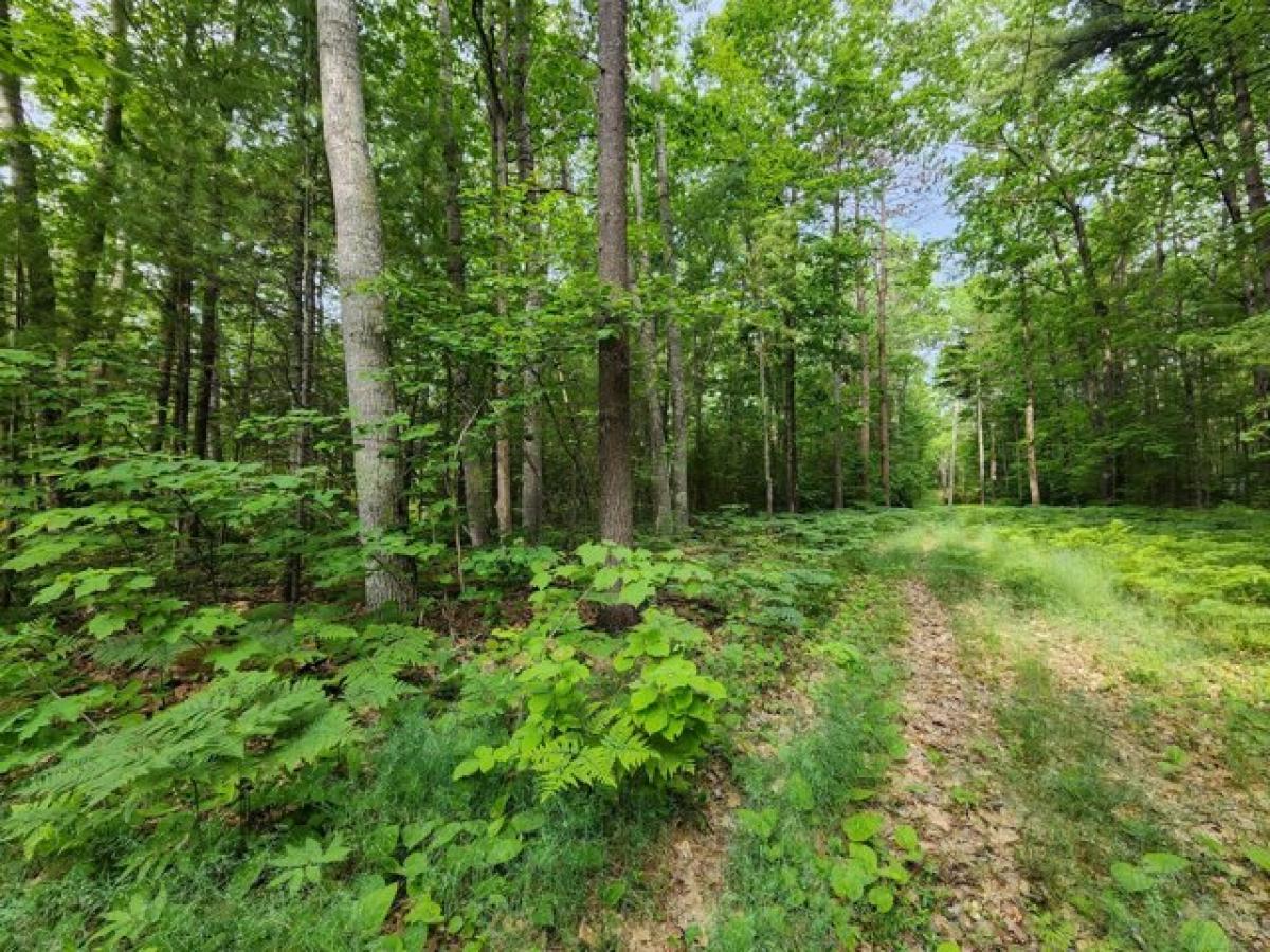 Picture of Residential Land For Sale in Topinabee, Michigan, United States