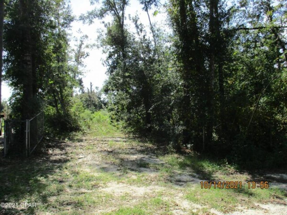 Picture of Residential Land For Sale in Youngstown, Florida, United States
