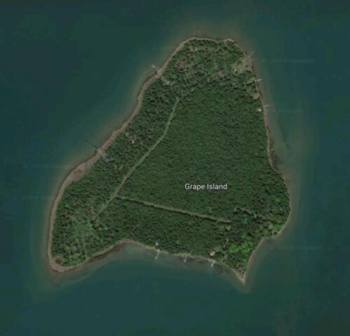 Picture of Residential Land For Sale in Drummond Island, Michigan, United States