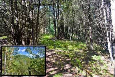 Residential Land For Sale in Adirondack, New York