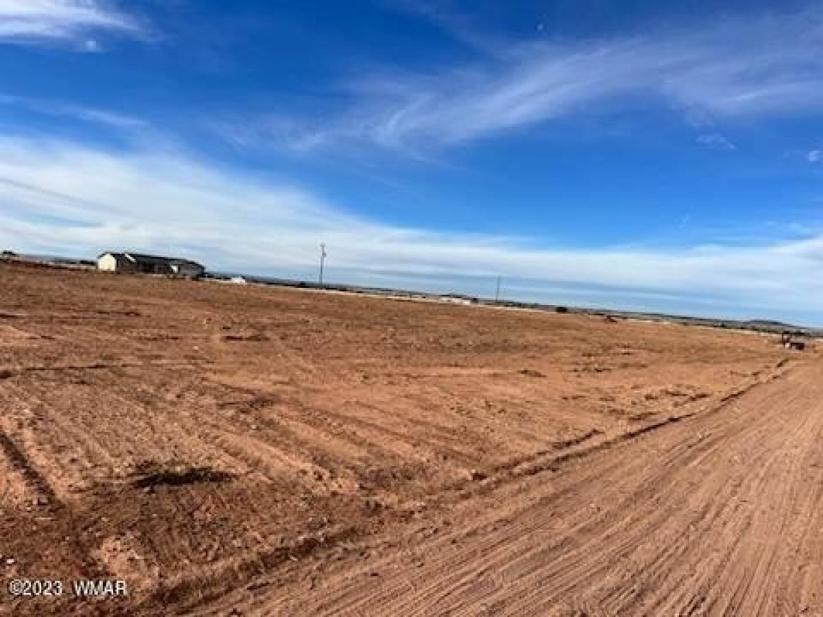 Picture of Residential Land For Sale in Snowflake, Arizona, United States