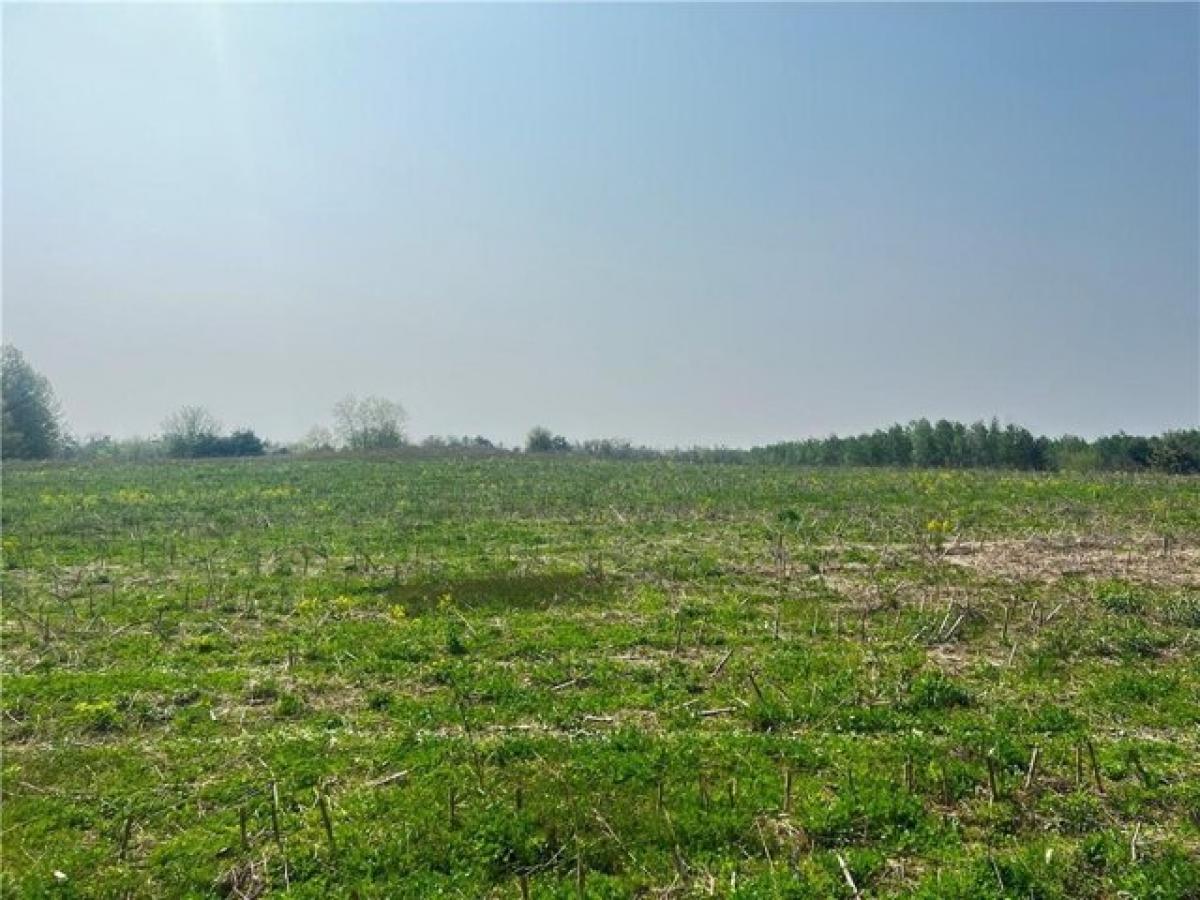 Picture of Residential Land For Sale in Chetek, Wisconsin, United States