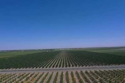 Residential Land For Sale in San Joaquin, California