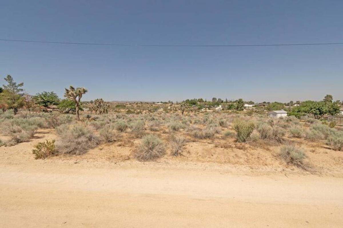 Picture of Residential Land For Sale in Pearblossom, California, United States