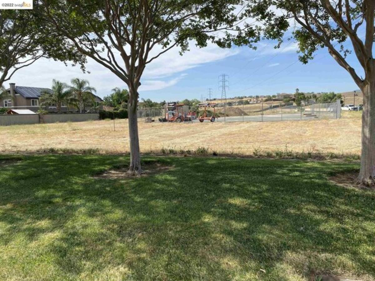Picture of Residential Land For Sale in Brentwood, California, United States