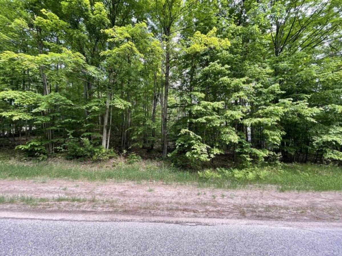 Picture of Residential Land For Sale in Gaylord, Michigan, United States