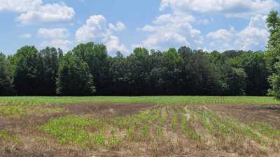 Residential Land For Sale in Adamsville, Tennessee