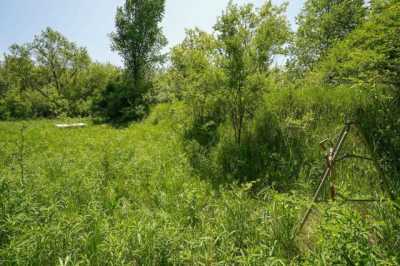 Residential Land For Sale in Mount Carroll, Illinois