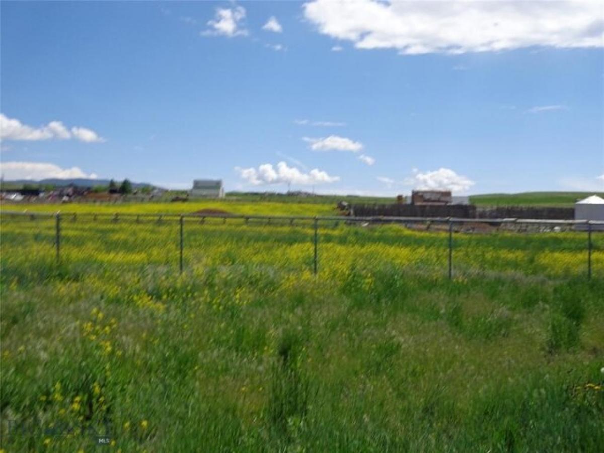 Picture of Home For Sale in Whitehall, Montana, United States