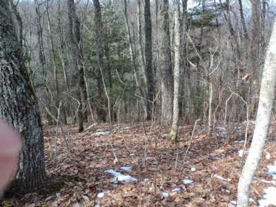 Residential Land For Sale in Scaly Mountain, North Carolina