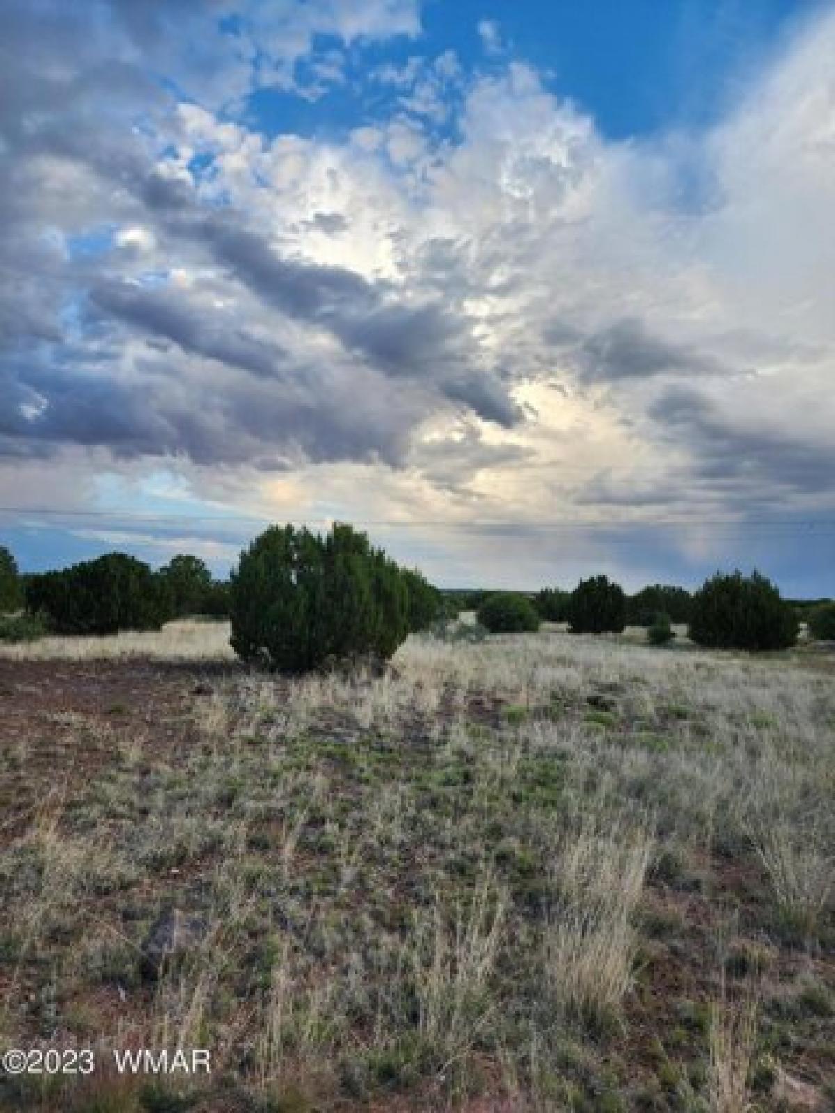 Picture of Residential Land For Sale in Show Low, Arizona, United States