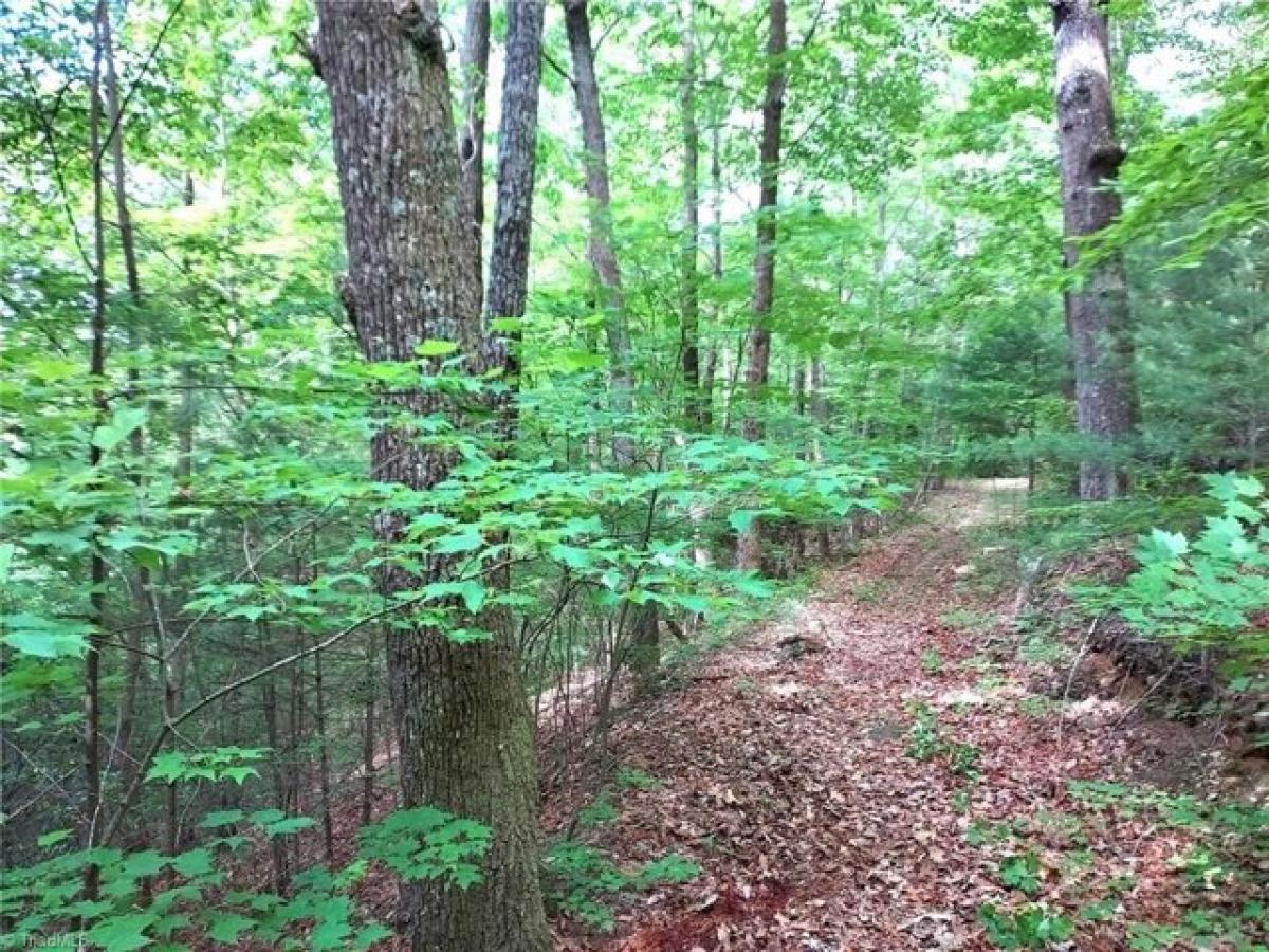 Picture of Residential Land For Sale in Ferguson, North Carolina, United States