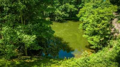 Residential Land For Sale in Unicoi, Tennessee