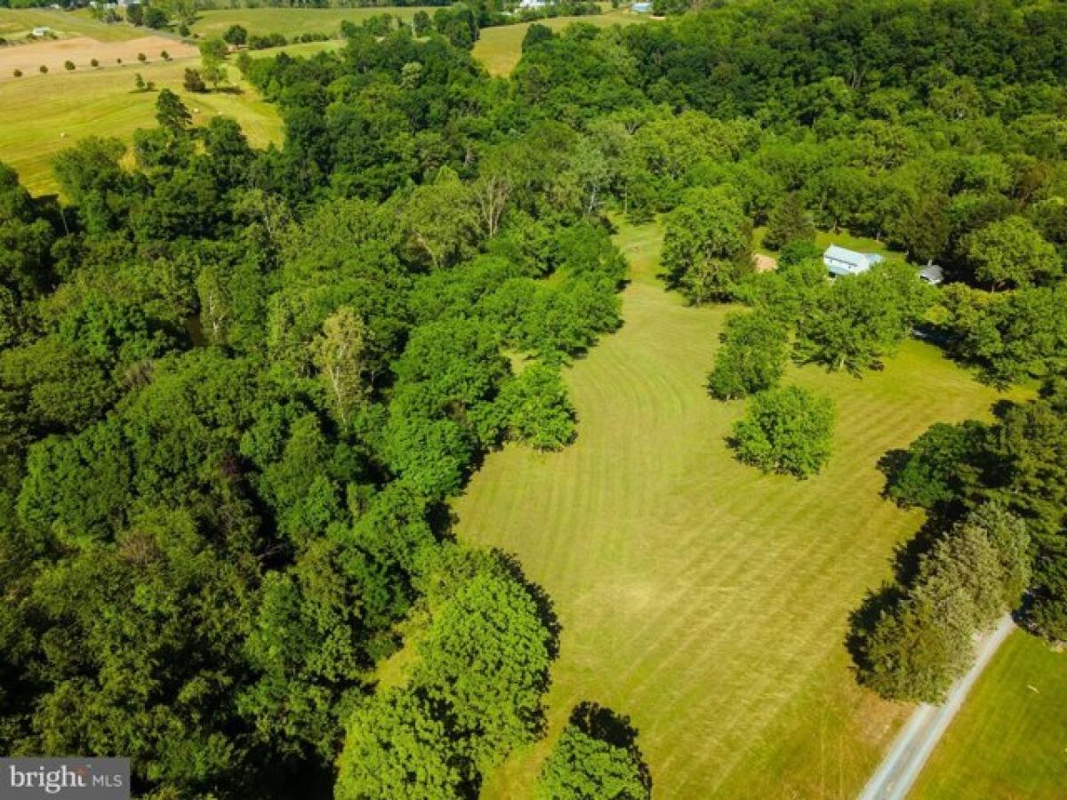 Picture of Residential Land For Sale in Edinburg, Virginia, United States