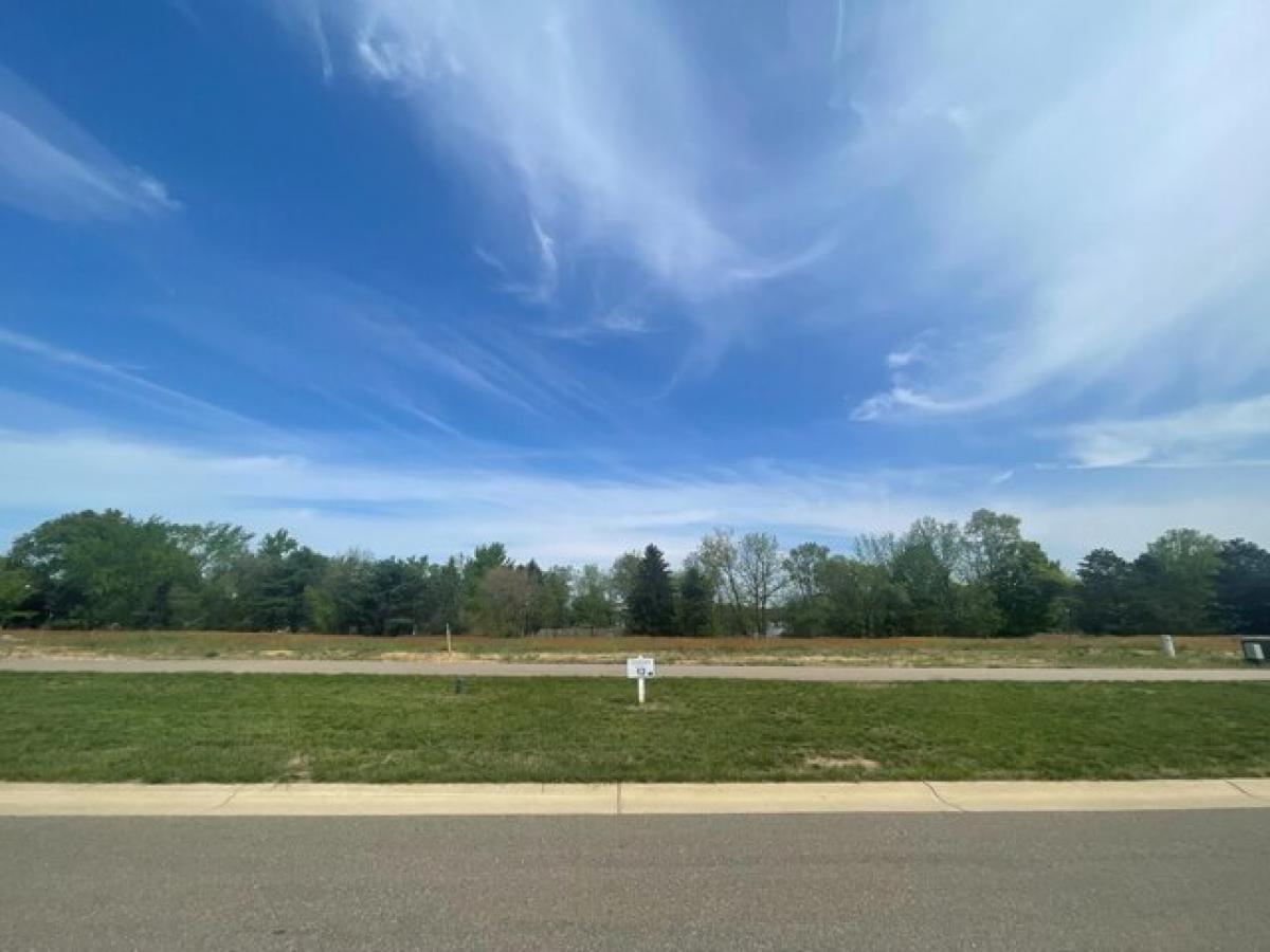 Picture of Residential Land For Sale in Kalamazoo, Michigan, United States