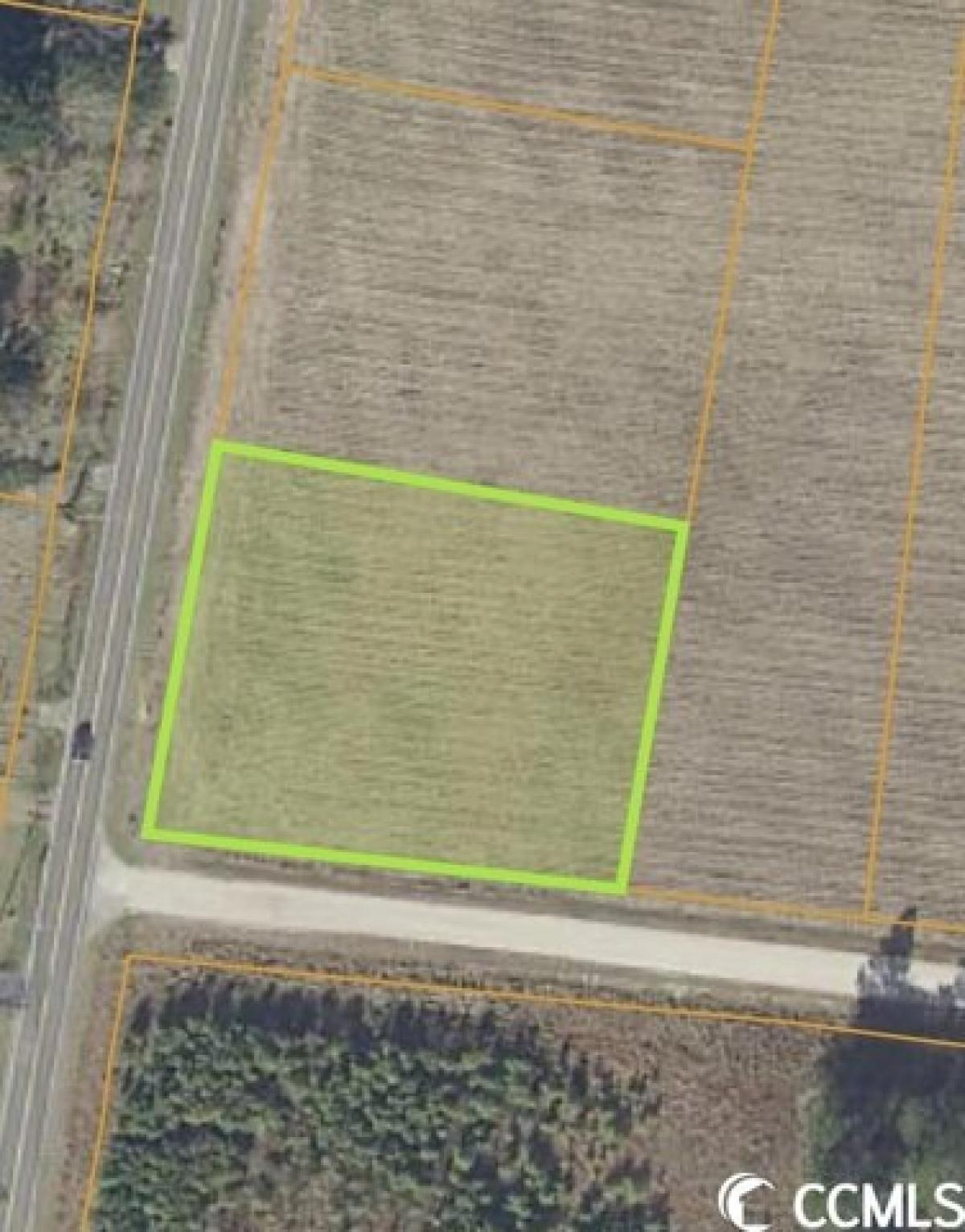 Picture of Residential Land For Sale in Loris, South Carolina, United States