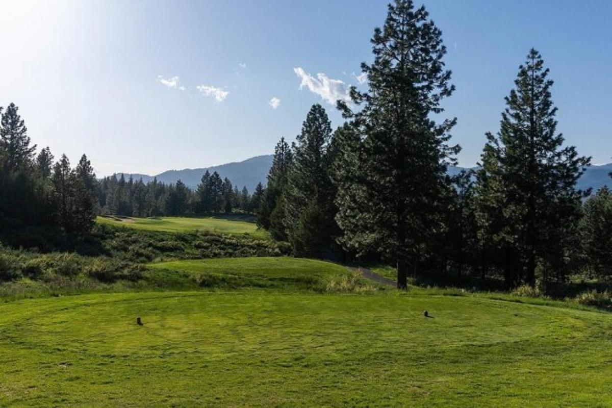 Picture of Residential Land For Sale in Portola, California, United States