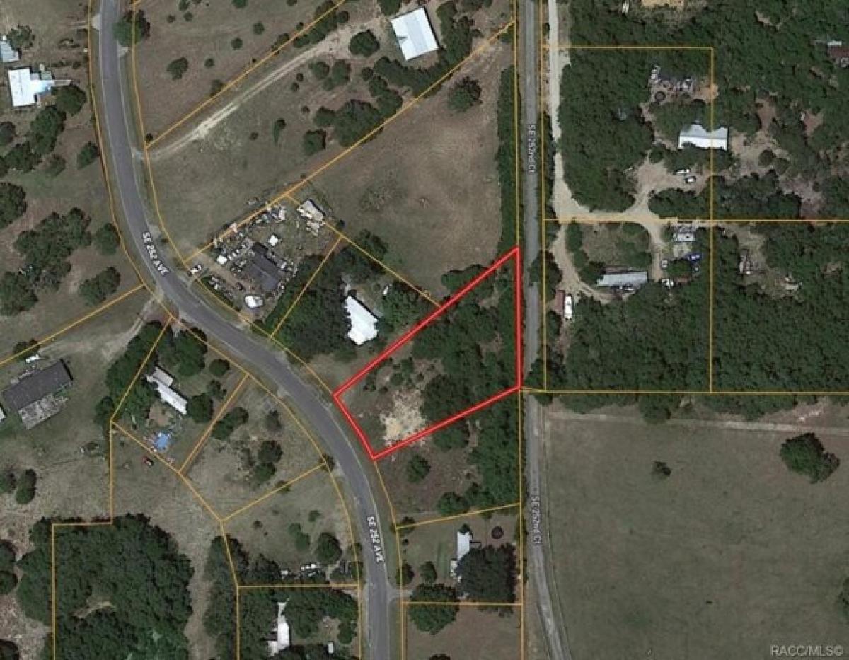 Picture of Residential Land For Sale in Umatilla, Florida, United States