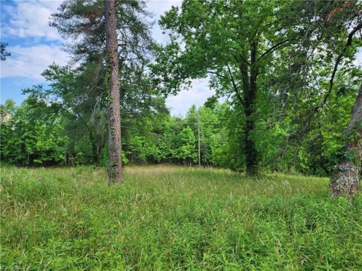 Picture of Residential Land For Sale in Wilkesboro, North Carolina, United States