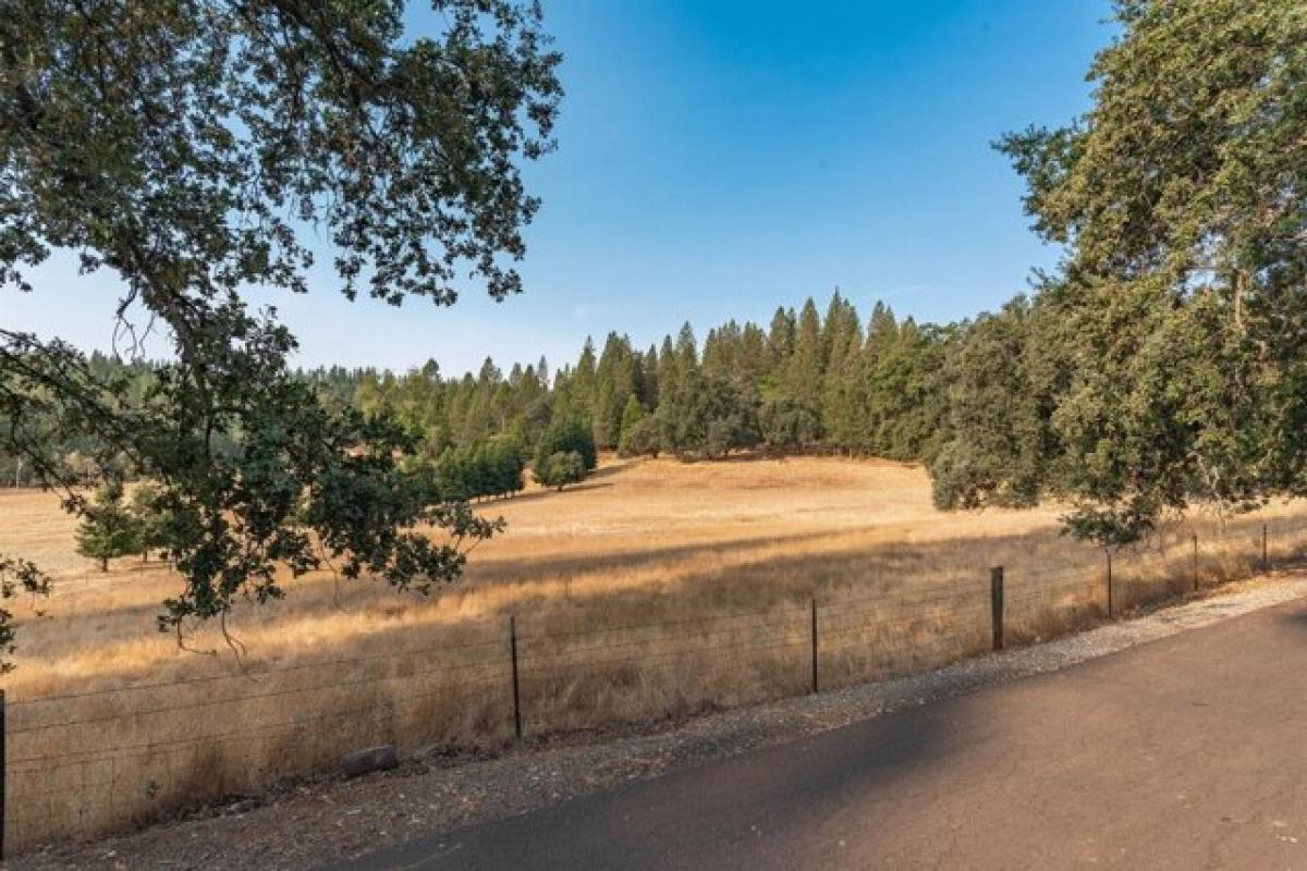 Picture of Residential Land For Sale in Pine Grove, California, United States