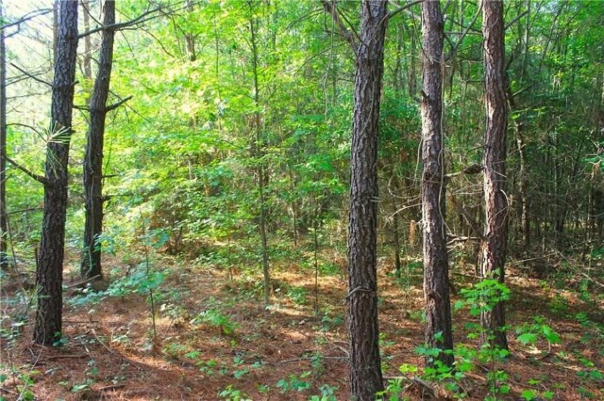 Picture of Residential Land For Sale in Emporia, Virginia, United States