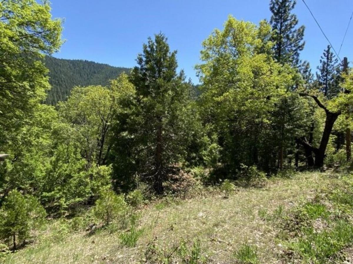 Picture of Residential Land For Sale in Dunsmuir, California, United States