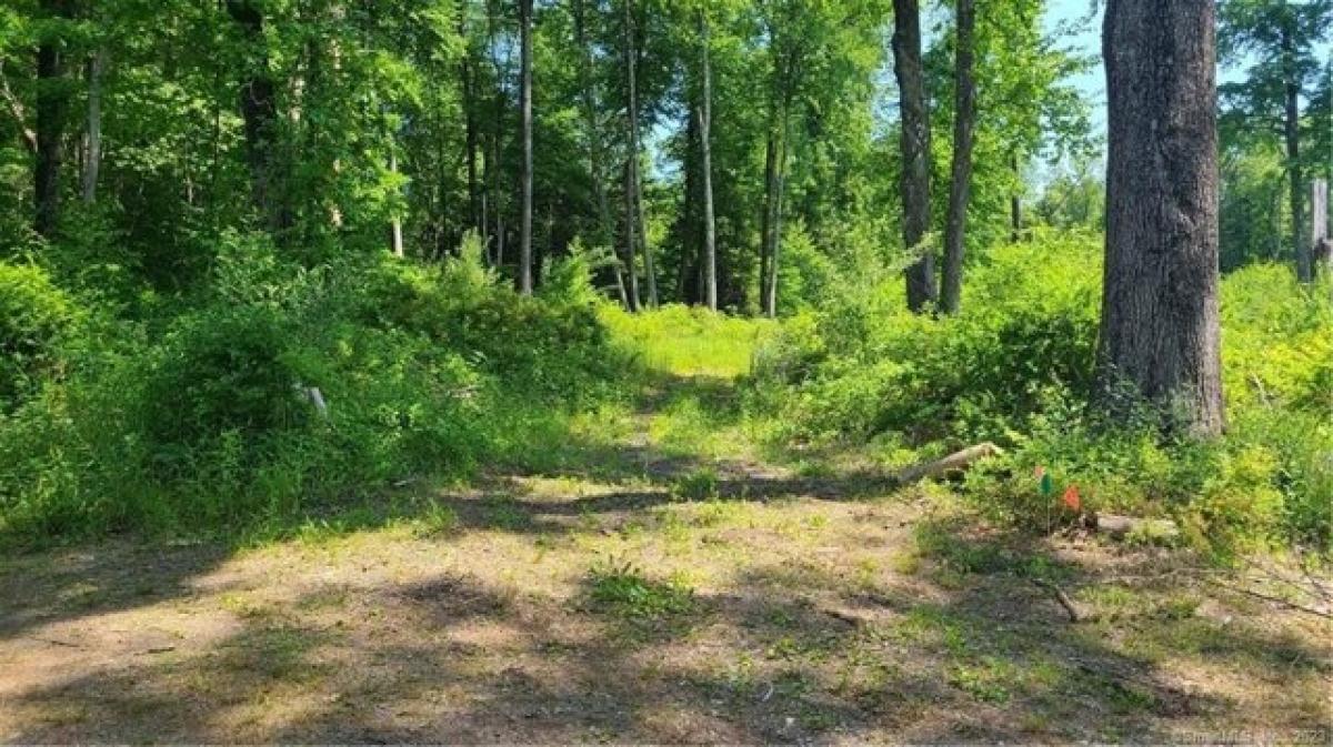 Picture of Residential Land For Sale in Southbury, Connecticut, United States