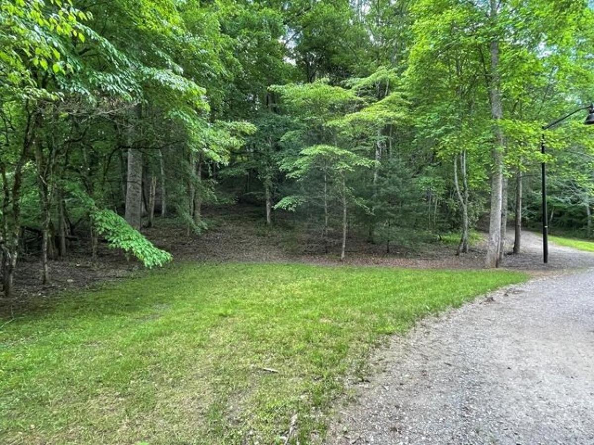 Picture of Residential Land For Sale in Andrews, North Carolina, United States