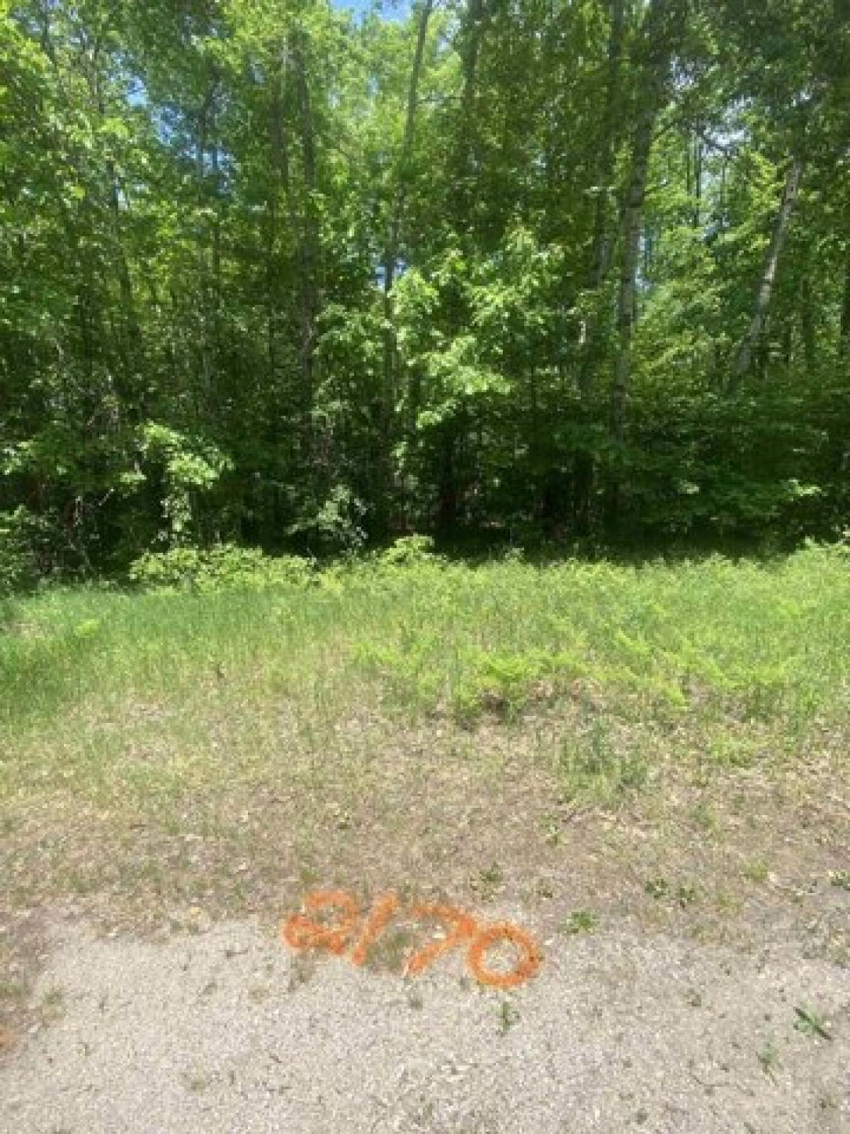 Picture of Residential Land For Sale in Suamico, Wisconsin, United States
