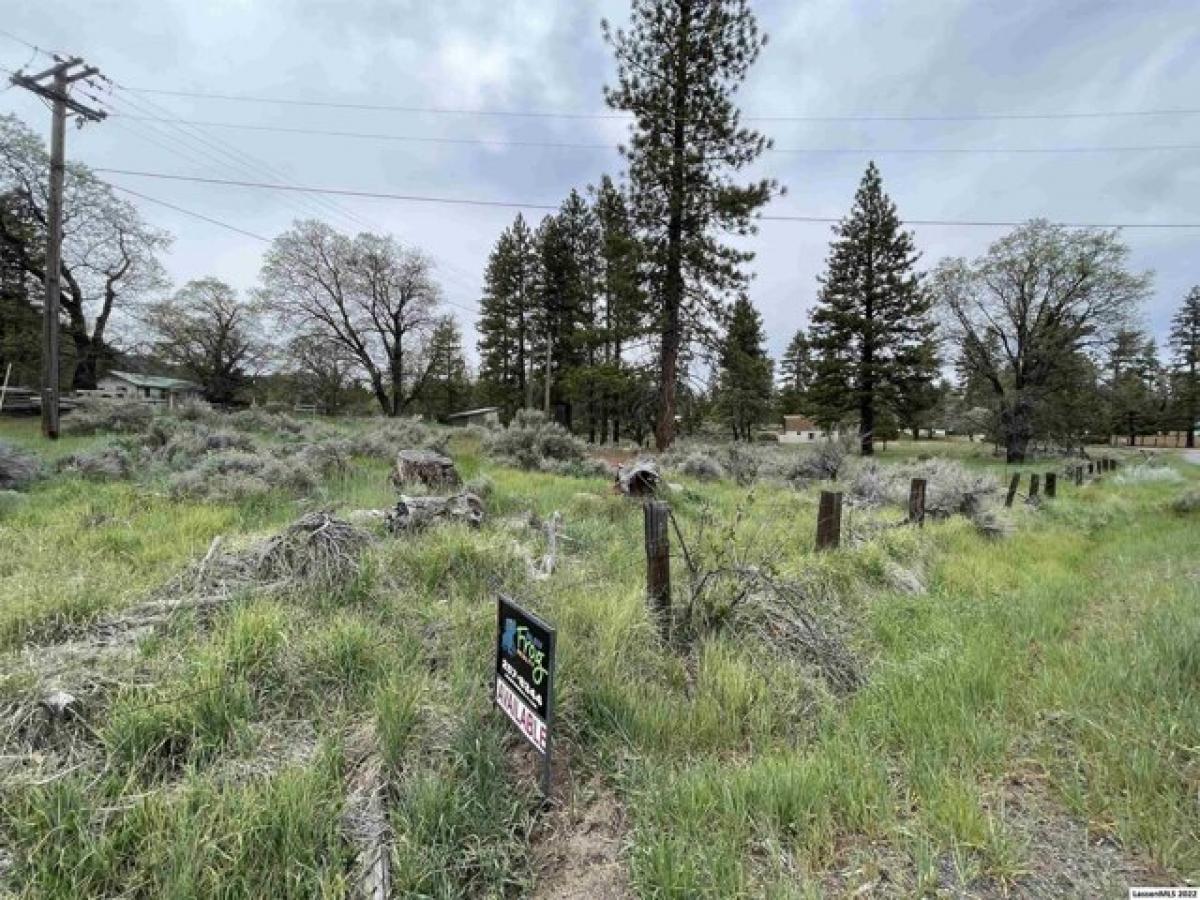 Picture of Residential Land For Sale in Janesville, California, United States