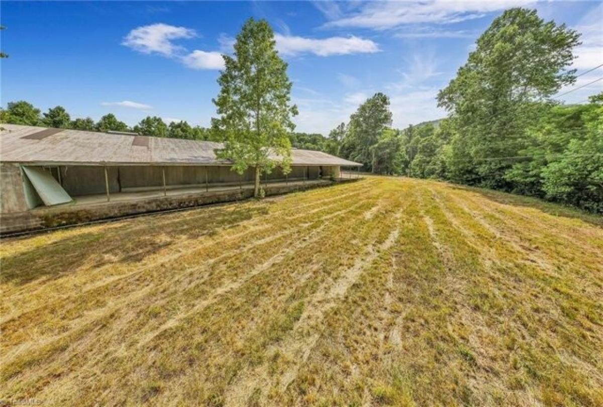 Picture of Home For Sale in Moravian Falls, North Carolina, United States